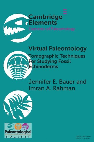 bokomslag Virtual Paleontology