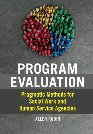 Allen Rubin - Program Evaluation, Häftad