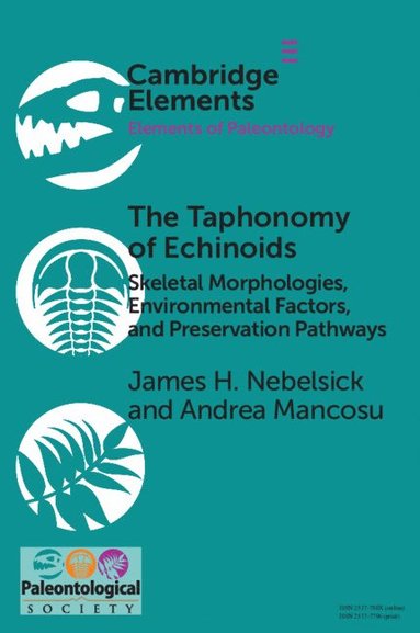 bokomslag The Taphonomy of Echinoids