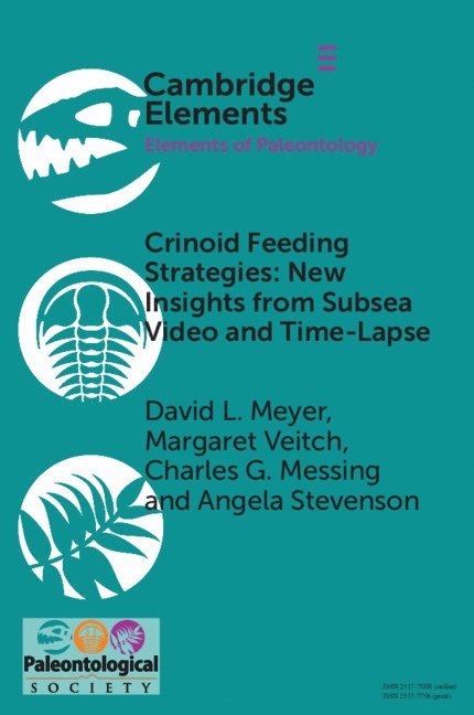 Crinoid Feeding Strategies: New Insights From Subsea Video And Time-Lapse 1