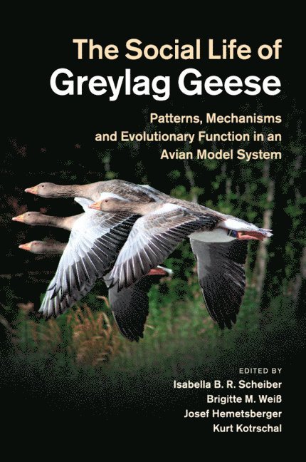 The Social Life of Greylag Geese 1