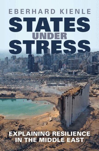 Eberhard Kienle - States Under Stress, Häftad