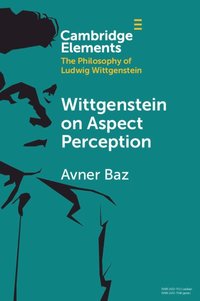 bokomslag Wittgenstein on Aspect Perception