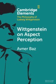 bokomslag Wittgenstein on Aspect Perception