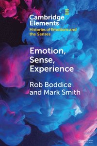 bokomslag Emotion, Sense, Experience