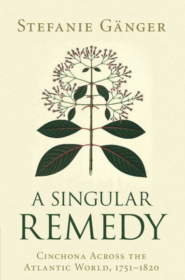 bokomslag A Singular Remedy