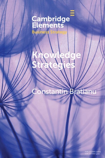 Constantin Bratianu - Knowledge Strategies, Häftad
