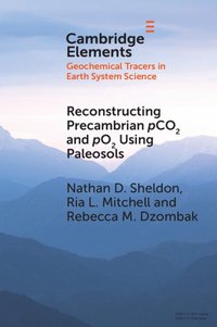 bokomslag Reconstructing Precambrian pCO2 and pO2 Using Paleosols