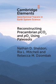 bokomslag Reconstructing Precambrian pCO2 and pO2 Using Paleosols