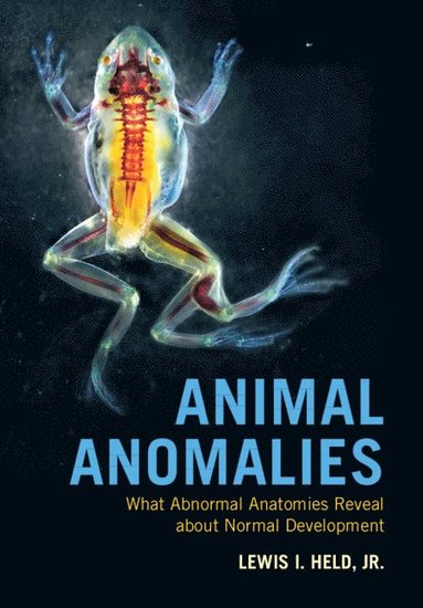 bokomslag Animal Anomalies