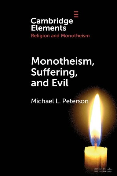 bokomslag Monotheism, Suffering, and Evil