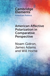 bokomslag American Affective Polarization in Comparative Perspective