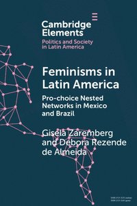 bokomslag Feminisms in Latin America