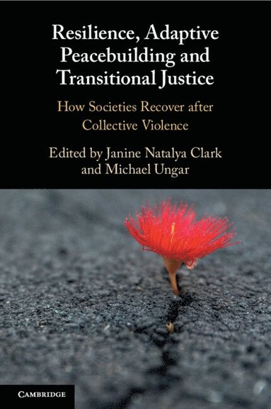 bokomslag Resilience, Adaptive Peacebuilding and Transitional Justice