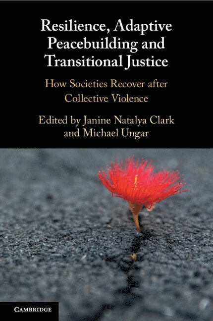 Resilience, Adaptive Peacebuilding and Transitional Justice 1