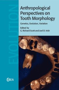 bokomslag Anthropological Perspectives on Tooth Morphology