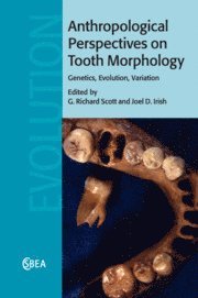 G. Richard Scott, Joel D. Irish, Fairbanks) Scott, G. Richard (University of Alaska, Joel D. (Liverpool John Moores University) Irish - Anthropological Perspectives on Tooth Morphology, Häftad