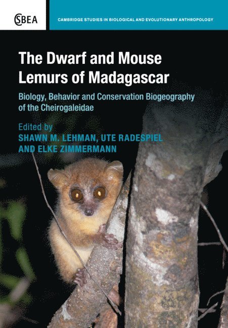 Shawn M. Lehman, Ute Radespiel, Elke Zimmermann, Shawn M. (University of Toronto) Lehman - Dwarf and Mouse Lemurs of Madagascar, Häftad