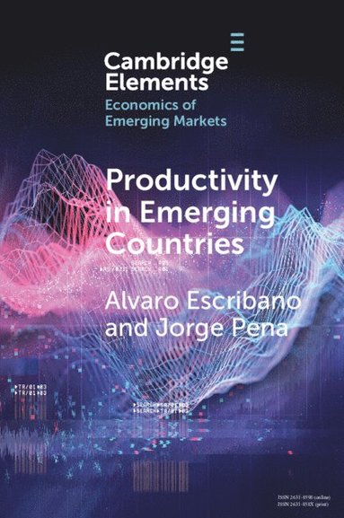 bokomslag Productivity in Emerging Countries
