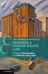 bokomslag The Cambridge Companion to Business and Human Rights Law