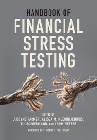 bokomslag Handbook of Financial Stress Testing