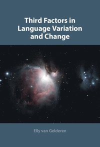 bokomslag Third Factors in Language Variation and Change