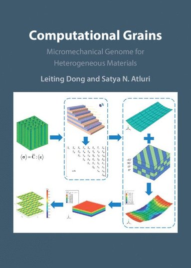 bokomslag Computational Grains