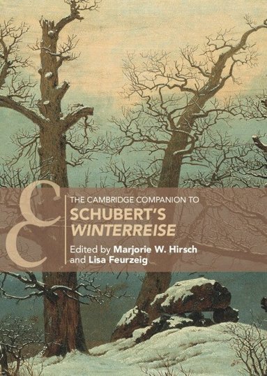 Marjorie W. Hirsch, Lisa Feurzeig - The Cambridge Companion to Schubert's 'Winterreise', Inbunden