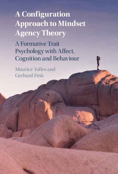 bokomslag A Configuration Approach to Mindset Agency Theory