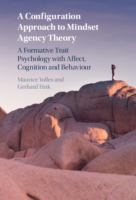 Maurice Yolles, Gerhard Fink, Maurice (Liverpool John Moores University) Yolles - Configuration Approach to Mindset Agency Theory, Inbunden