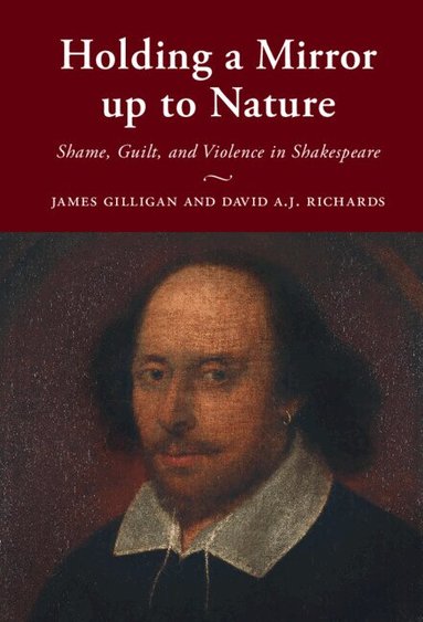 James Gilligan, David A.J. Richards - Holding a Mirror up to Nature, Inbunden