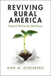 bokomslag Reviving Rural America