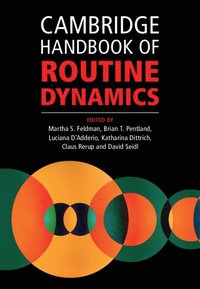 bokomslag Cambridge Handbook of Routine Dynamics