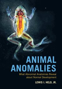 bokomslag Animal Anomalies