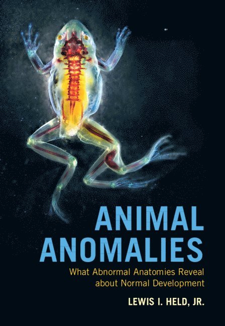 Animal Anomalies 1