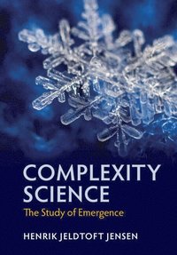 bokomslag Complexity Science