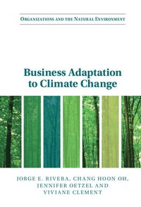 bokomslag Business Adaptation to Climate Change