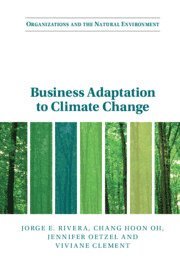 bokomslag Business Adaptation to Climate Change