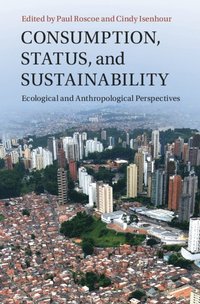 bokomslag Consumption, Status, and Sustainability