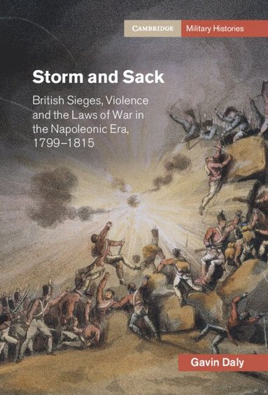 bokomslag Storm and Sack