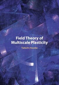 bokomslag Field Theory of Multiscale Plasticity