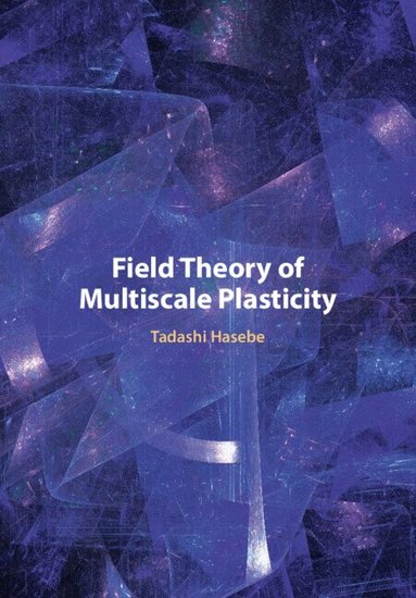 Tadashi Hasebe - Field Theory of Multiscale Plasticity, Inbunden