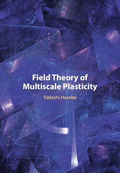 bokomslag Field Theory of Multiscale Plasticity