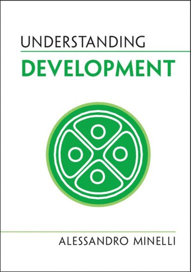 bokomslag Understanding Development