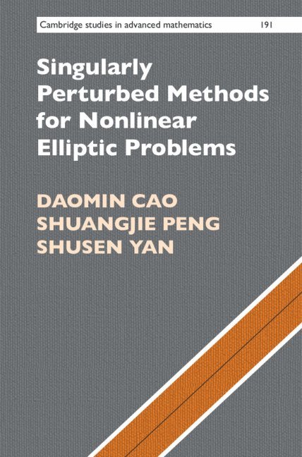 Daomin Cao, Shuangjie Peng, Shusen Yan, Beijing) Cao, Daomin (Chinese Academy of Sciences - Singularly Perturbed Methods for Nonlinear Elliptic Problems, Inbunden