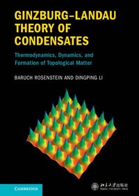 bokomslag Ginzburg-Landau Theory of Condensates