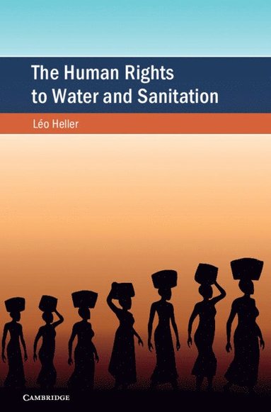 bokomslag The Human Rights to Water and Sanitation