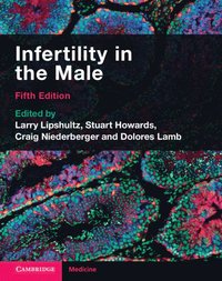 bokomslag Infertility in the Male