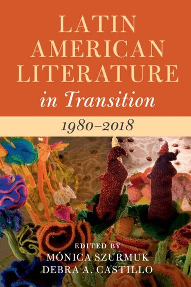 Mónica Szurmuk, Debra A. Castillo - Latin American Literature in Transition 1980-2018: Volume 5, Inbunden
