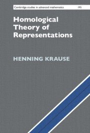 bokomslag Homological Theory of Representations